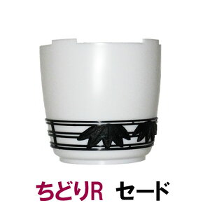 タカラ ウォータークリーナーちどりR 交換パーツ セード TW-581送料無料 但、一部地域除 2点目より400円引