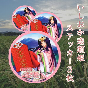 P XebJ[ 3 ( a 10cm ) z02  LN^[ V[ XebJ[ L ObY nL nLN^[ 錧 LN^[ObY