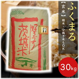 ★ほぼ全商品47%OFF+P3倍★ 玄米 30kg 福丸 令和5年産 「筑波山麓厳選ふくまる」 送料無料 f05 30キロ 五分搗き 七分搗き 白米 精米選択可 美味しい米 玄米 30キロ 美味しい 米 特A おいしい 粒が大きい 30kg 五分づき 七分づき