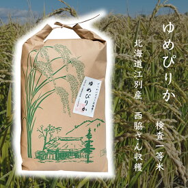 ★月間優良ショップ賞 受賞店★お米 ★ 白米 5kg 北海道 ゆめぴりか 5kg 令和6年産 【生産者限定】 h38 でっかいどう！！ 北海道！ 北海道米 北海道 米 お米 高級 美味しい米 ブランド米 美味しい おいしい 夏ギフト