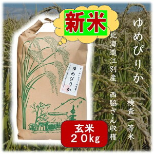 yVԗDǃVbvܓX 20kg kC ߂҂肩 ߘa7NY yYҌz h72 łǂI kC kC kC     uh  