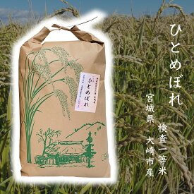 白米 10kg 宮城県産 ひとめぼれ 5kg ×2袋 令和5年産 h54 検査一等米 10kg 高級米 お米 ギフト お歳暮 おいしい 贈り物