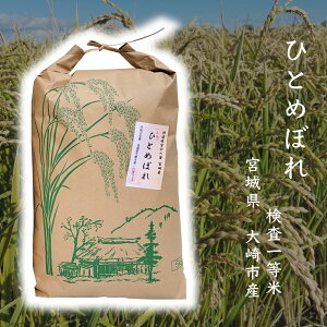 ߘa6NYԗDǃVbv ܓX   v 10kg {錧Y ЂƂ߂ڂ 5kg ×2 ߘa6NY h54 ꓙ 10kg   Mtg Ε  蕨