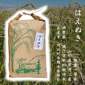 h19 令和4年産 山形県寒河江産 はえぬき 5kg減農薬・減化学肥料栽培米