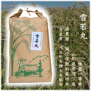 ߘa7NY   v 10kg R`͍]Y  5kg × 2 ߘa6NY h69c2 _Ew엿͔|  5kg