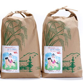 ★ほぼ全商品45%OFF+P3倍★白米 10kg 福丸 5kg ×2袋 令和5年産 「筑波山麓厳選 ふくまる 」 送料無料 f01 茨城 米 美味しい お米 お米5キロ 米5k 米5キロ 高級 美味しい ブランド米 高級米 絶品 お取り寄せ お中元 10kg