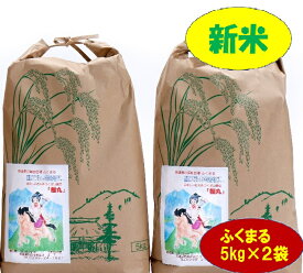 白米 10kg 福丸 5kg ×2袋 令和5年産 「筑波山麓厳選 ふくまる 」 送料無料 f01 茨城 米 美味しい お米 お米5キロ 米5k 米5キロ 高級 美味しい ブランド米 高級米 絶品 お取り寄せ お中元 10kg