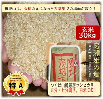 令和7年 新米 豊川産コシヒカリまたはあいちのかおり 玄米 30キロ