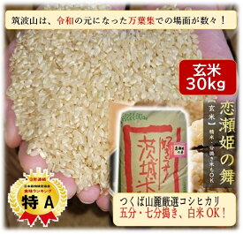 ★ほぼ全商品47%OFF+P3倍★ 玄米 30kg 恋瀬姫の舞 令和5年産 「筑波山麓厳選 こしひかり」 送料無料 k13 五分搗き 七分搗き 白米 精米選択可コシヒカリ 30キロ 高級 ブランド米 お得 特A お米 30kg おいしい 七分づき 五分づき