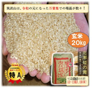 玄米 茨城県産 コシヒカリ」の人気商品一覧・価格比較 - 価格.com