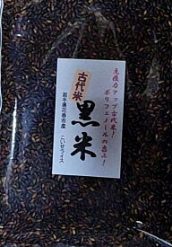 ★月間優良ショップ賞 受賞店★ お米 黒米 ★ 朝紫 500g 900g 1kg×3袋 5kg 5kg×2袋 令和7年産 送料無料岩手県花巻産 宮沢賢治の里産 脳内視力 オードブル メニュー開発 健康 雑炊 ポリフェノール アントシアニン 古代米 五穀米 視力 老眼 抗酸化