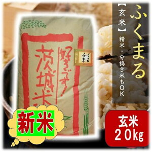 yVԗDǃVbvܓX V   20kg  20kg ߘa7NY u}gR[I ӂ܂ v  f09 ܕ   đI20L  uh   