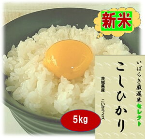 【お買得価格】★月間優良ショップ受賞店★白米 5kg 茨城県産 こしひかり 令和7年産 送料無料 k41 ランキング 特A含む 茨城 お米 こめ ブランド米 高級米 おいしい 美味しい お取り寄せ コシヒ