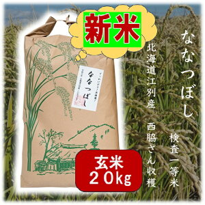 ߘa7NYyVԗDǃVbvܓXā 20kg kC ȂȂڂ 5kg ×2 yYҌz h73     uh   Mtg R 10kg