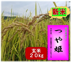 yVԗDǃVbvܓX  20kg R`͍]Y P ߘa7NY h75 5kg   Mtg Ε  蕨