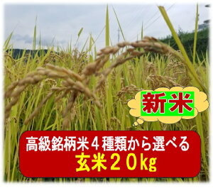 Ċe20kg(ʌ)ԗDǃVbvܓX4ނ I𐧁 ߘa7NY h76ĕ@(Ă̂܂܁EāEāEܕ)zIׂ(12E1E2