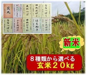 26OFF1kg899.5~Ċe20kg(ʌ)ԗDǃVbvܓX9ނ I𐧁ߘa7NY h74ĕ@T[rX(Ă̂܂܁EāEāEܕ)z