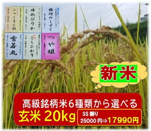 Ċe20kg(ʌ)ԗDǃVbvܓX4ނ I𐧁 ߘa7NY h76ĕ@(Ă̂܂܁EāEāEܕ)zIׂ(12E1E2