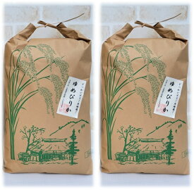 白米 10kg 北海道 ゆめぴりか 5kg ×2袋 令和5年産 【生産者限定】 h39 でっかいどう！ 北海道 北海道米 北海道 米 お米 高級 美味しい米 ブランド米 美味しい おいしい 夏ギフト