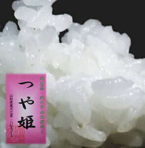 yVԗDǃVbvܓX   v 10kg R`͍]Y P 5kg ×2 ߘa6NY h53c2 5kg   Mtg Ε  蕨