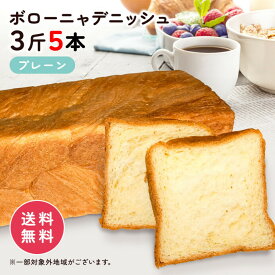ボローニャ デニッシュ 食パン パン 3斤 5本 送料無料（北海道、沖縄、離島は別途送料がかかります） ボローニャパン デニッシュパン