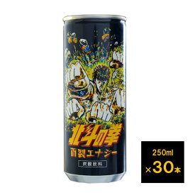 北斗の拳 百裂エナジー 250ml 1ケース 30本 送料無料【配送不可エリア 沖縄、離島】 エナジードリンク ENERGY
