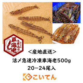 久米総合開発　車海老　500g　20〜24尾入　活〆急速冷凍　送料無料　大　13-15cm　えび　エビ　海老　車エビ　車えび　くるまえび　沖縄　久米島　産地直送　刺身　しゃぶしゃぶ　海老フライ　塩焼き
