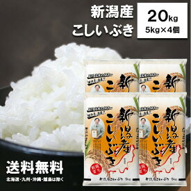 新米 田中米穀　新潟産　こしいぶき　20kg　(5kg×4袋)【送料無料　北海道、九州、沖縄、離島を除く】　新潟県産　白米　お米　新潟　令和7年度産　産地直送