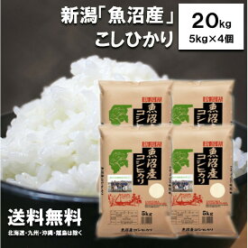 新米　田中米穀　新潟魚沼産こしひかり20kg（5kg×4袋）【送料無料　北海道、九州、沖縄、離島を除く】　新潟県産　魚沼産　令和7年度産