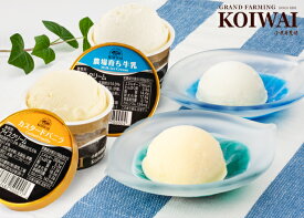 小岩井農場特製アイスクリーム6個セット [バニラ＆牛乳]【スイーツ ギフト】