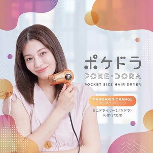 y[J[zRCY~ hC[ KHD-9731 | ~jłpt700WBƑO𒼂Ƃɂ RpNgɐ܂肽߂ XPgJ[ | 򐬊 KOIZUMI