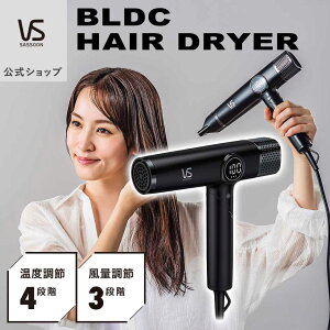 �y���[�J�[�����z���B�_���T�X�[�� BLDC�h���C���[ VSD-1271 | ���� ������� �������� �y�� �R���p�N�g �啗�� ���Z ���� �R���p�N�g ���x���� �܂肽���� �f�W�^�� �w�A�h���C���[ �w�A�[�h��