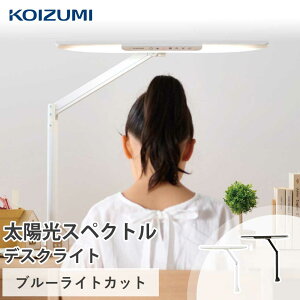 yubNtCf[zyRCY~z LEDA[Cg ECL-111 ECL-112 | u[CgJbg fXNCg A[Cg wKCg zXyNg  Nv ڂɗD q