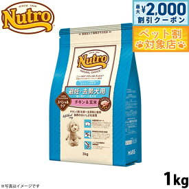 【最大2000円OFFクーポン！＆店内ポイント最大60倍！本日限定！】ニュートロ ナチュラルチョイス ドッグフード 避妊 去勢犬用 エイジングケア チキン＆玄米 1kg シニア 高齢 無添加犬 ペットグッズ/ [NC-SE]