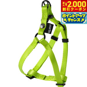 �y�ő�2000�~OFF�N�[�|���I���X���|�C���g�ő�50�{�I�{������I�z�}�[�e�B�� �Z���[ MARTIN SELLIER �i�C�����n�[�l�X XS ���C���C�G���[