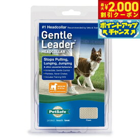【最大2000円OFFクーポン！＆店内ポイント最大50倍！マラソン限定！】ペットセーフ ジェントルリーダー ヘッドカラー クイックリリース M