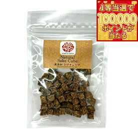 【1等最大10万ポイント当たる！20日から！】オーシーファーム ワンセレ 犬用おやつ さけキューブ 40g 無添加
