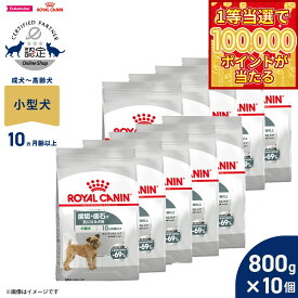 【1等最大10万ポイント当たる！20日から！】ロイヤルカナン 犬 ドッグフード ケーナインケアニュートリション ミニ デンタルケア 800g×10個 正規品 歯垢・歯石が気になる犬用 小型犬専用 成犬〜高齢犬用