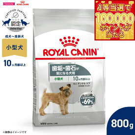 【1等最大10万ポイント当たる！20日から！】ロイヤルカナン 犬 ドッグフード ケーナインケアニュートリション ミニ デンタルケア 800g 正規品 歯垢・歯石が気になる犬用 小型犬専用 成犬〜高齢犬用