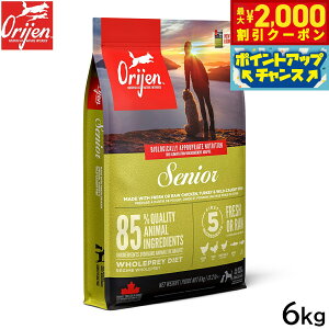 �y�ő�2000�~OFF�N�[�|���I���X���|�C���g�ő�54�{�I�{������I�z�I���W�� Orijen �h�b�O�t�[�h �V�j�A �S���� �V�j�A���p �����s�g�p 6kg�y���������z ���K�i ���Y�� �O���C���t���[