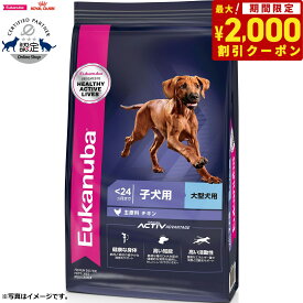 【2000円OFFクーポン！＆店内ポイント最大66倍！スーパーSALE！】ユーカヌバ ラージ パピー 2.7kg