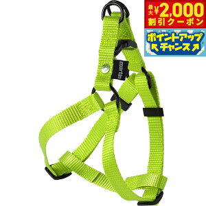 �y�ő�2000�~OFF�N�[�|���I���X���|�C���g�ő�54�{�I�{������I�z�}�[�e�B�� �Z���[ MARTIN SELLIER �i�C�����n�[�l�X S ���C���C�G���[