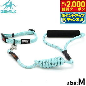 【2000円OFFクーポン！＆店内ポイント最大59倍！本日限定！】ジウォーク GEWALK カラーズオブネイチャーシリーズ リード＆カラーセット M ブルー
