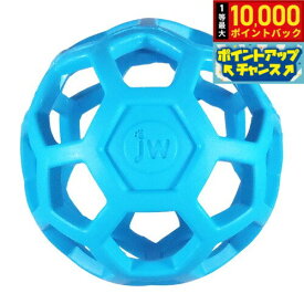 【8/20限定！抽選で最大1万ポイントバック】JW ホーリーローラーボール ミニ ライトブルー