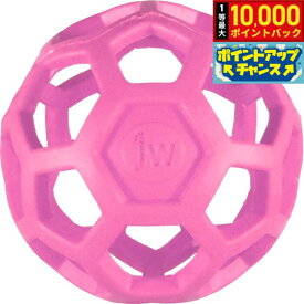 【8/20限定！抽選で最大1万ポイントバック】JW ホーリーローラーボール ミニ ピンク
