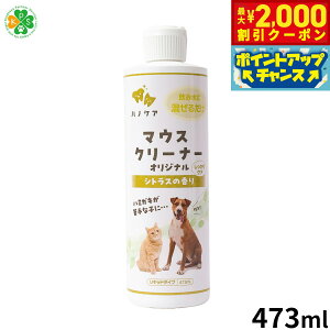 y2000~OFFN[|IGg[Ń|Cg+21.5{I{IzKPS }EXN[i[ 473ml pi/Lpi/ybgObY/ybgpi