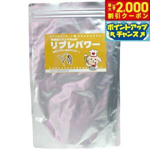 y2000~OFFN[|IGg[Ń|Cg+21.5{I{IzO[[hbOA[X ĕ up[ 500g  Y L h{⋋ _ H ӂ肩
