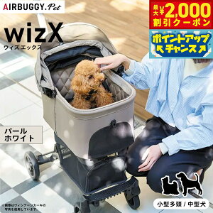 y2000~OFFN[|IGg[Ń|Cg+21.5{I{IzAIRBUGGY GAoM[ tH[ ybg ybgJ[g EBY GbNX WIZ X p[zCgyz  ybgL[ yb