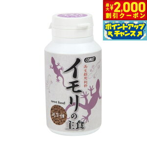y2000~OFFN[|IGg[Ń|Cg+21.5{I{IzRbg ޗp C̎H 40g