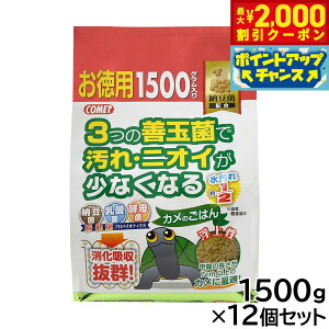 y2000~OFFN[|IGg[Ń|Cg+21.5{I{IzRbg Ĵ͂ [ p 1500g×12Zbg